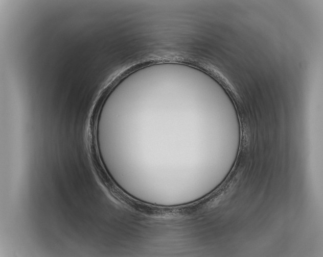 X0000110700674200906121036