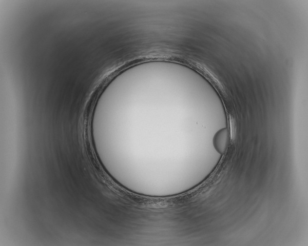 X0000110700675200906121036