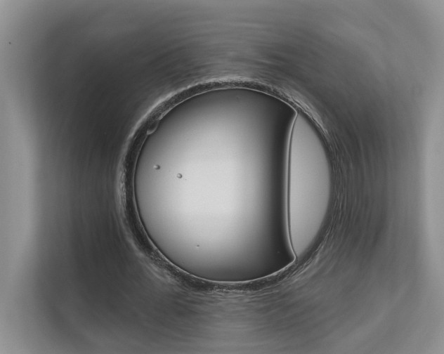 X0000110700676200906121036