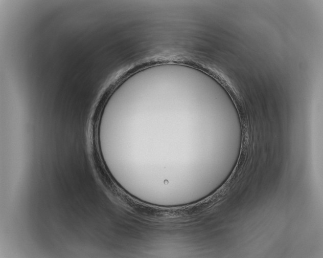 X0000110700678200906121036