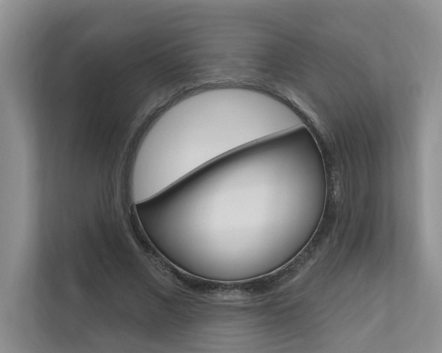 X0000110700685200906121036
