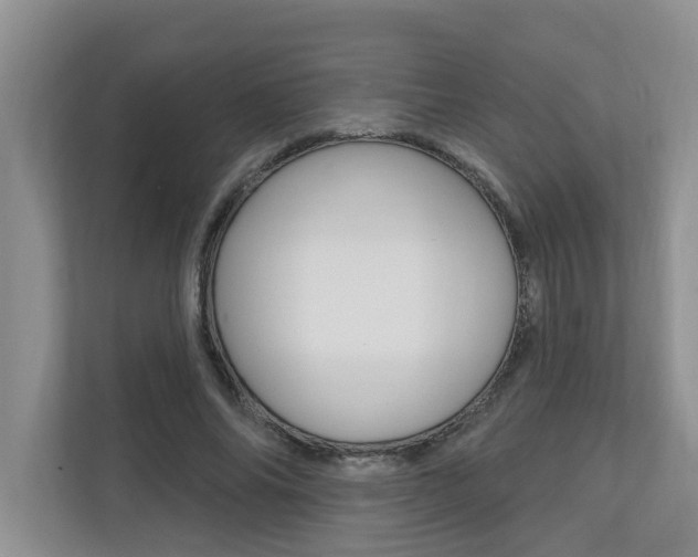 X0000110700686200906121036