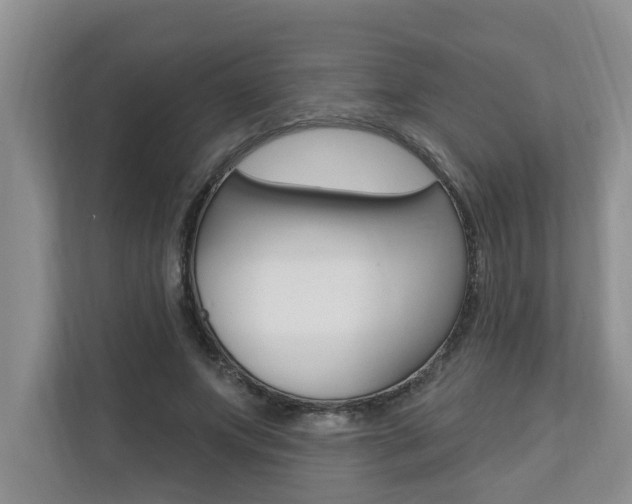 X0000110700687200906121036