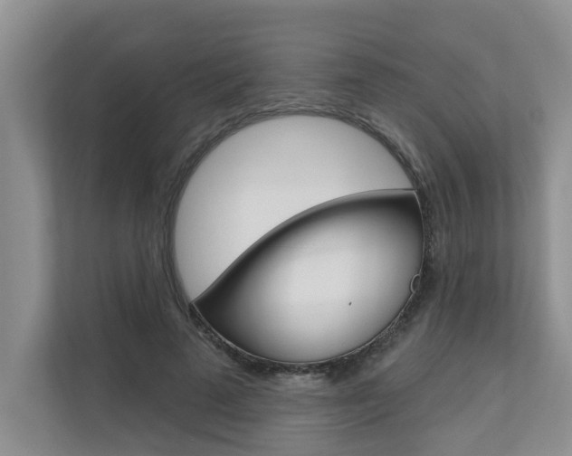 X0000110700689200906121036