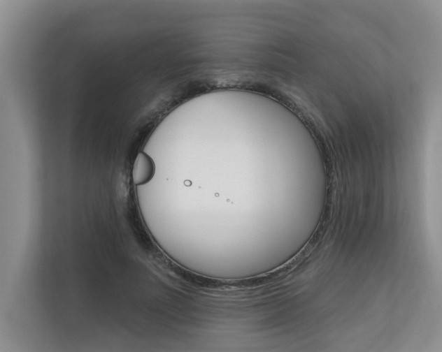 X0000110700691200906121036
