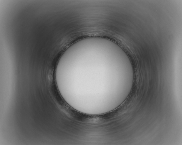 X0000110700695200906121036