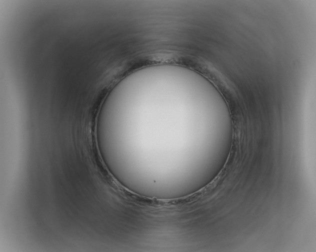 X0000110700696200906121036