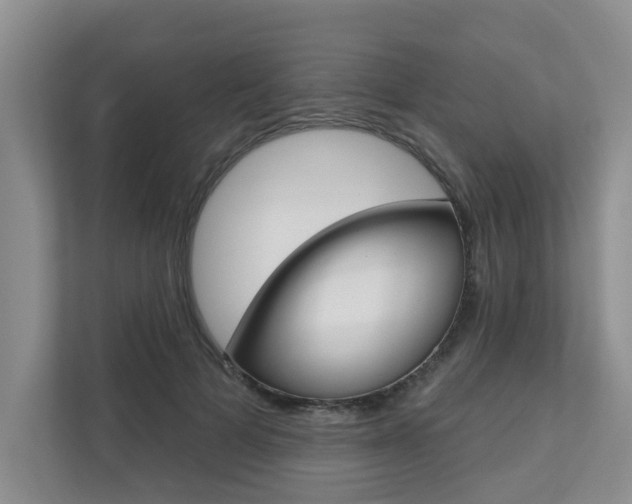 X0000110700697200906121036