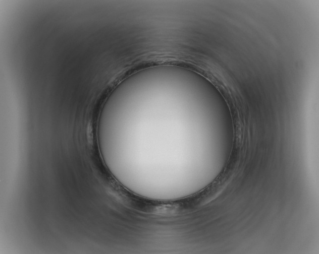 X0000110700700200906121036