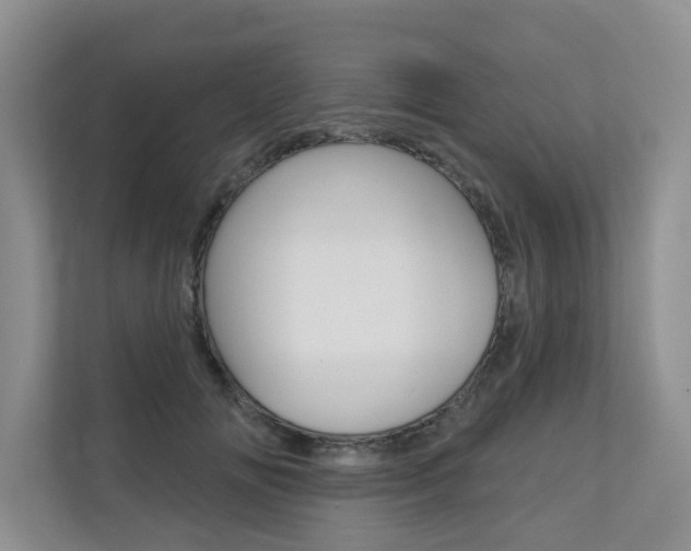 X0000110700702200906121036