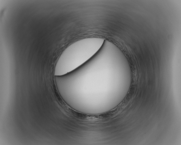 X0000110700703200906121036