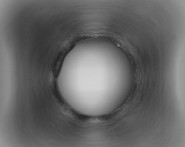 X0000110700704200906121036