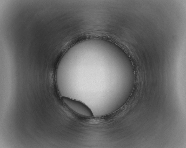X0000110700708200906121036
