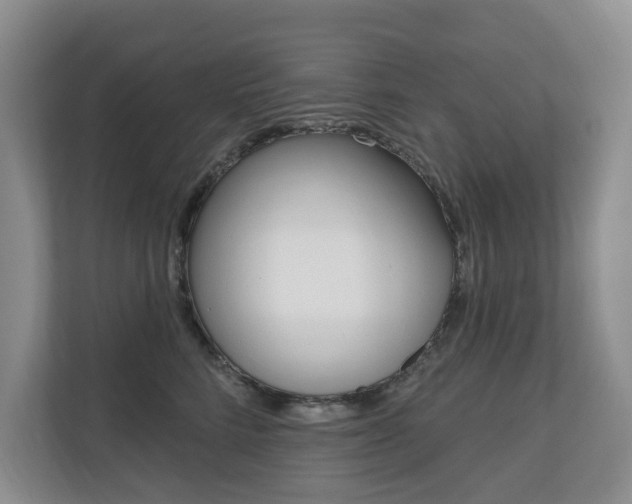 X0000110700712200906121036