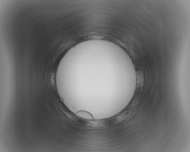 X0000110700713200906121036
