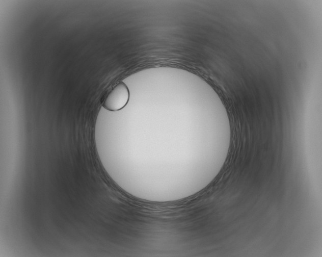X0000110700716200906121036