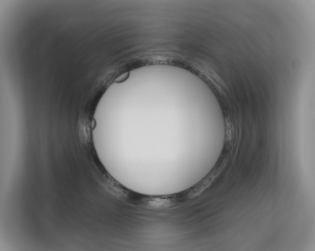 X0000110700718200906121036