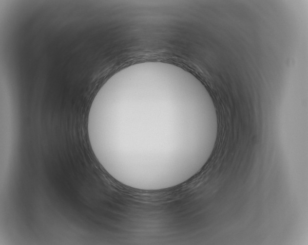 X0000110700720200906121036