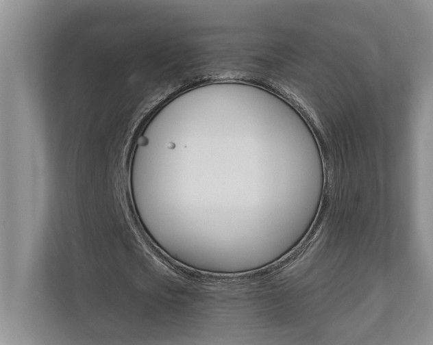 X0000110700721200906121035