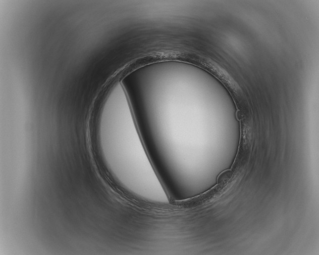 X0000110700722200906121035