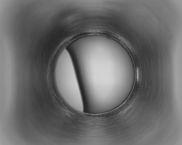 X0000110700723200906121035