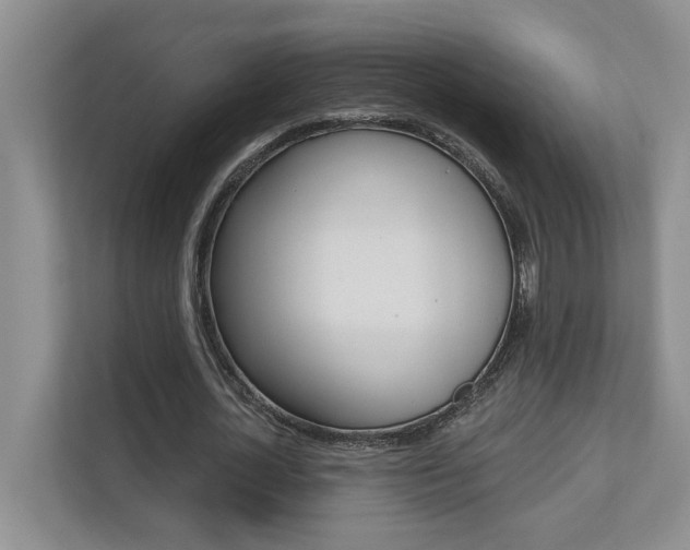 X0000110700724200906121035