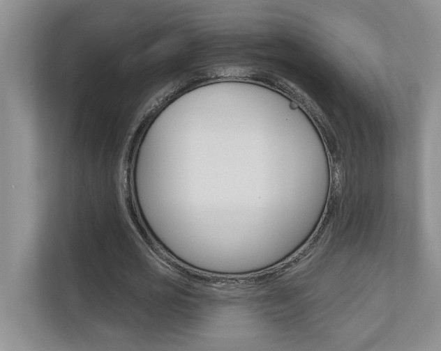 X0000110700725200906121035
