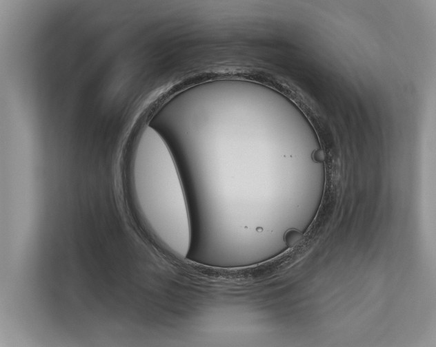 X0000110700727200906121035