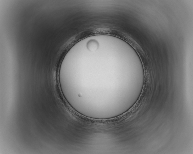 X0000110700729200906121035