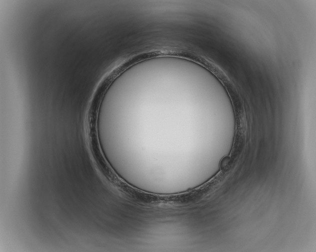 X0000110700730200906121035