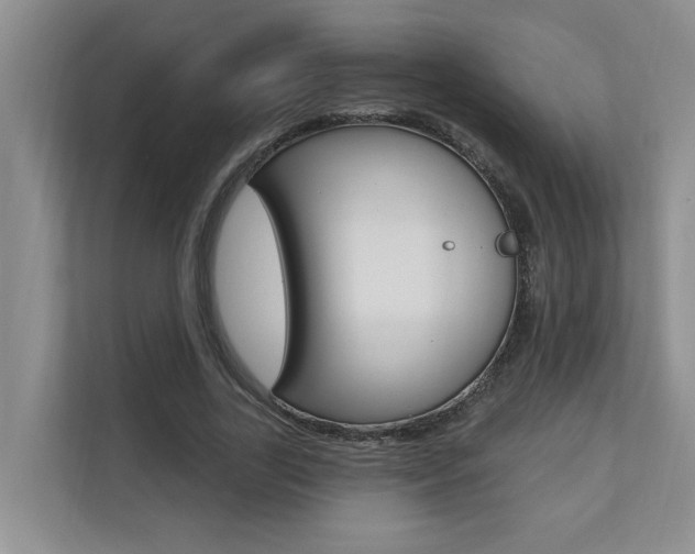 X0000110700731200906121035