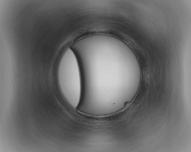 X0000110700735200906121035