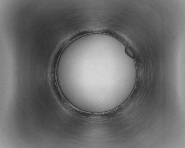 X0000110700736200906121035