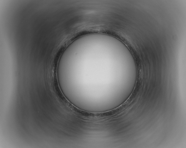 X0000110700739200906121035