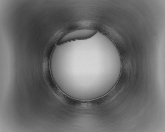 X0000110700744200906121035