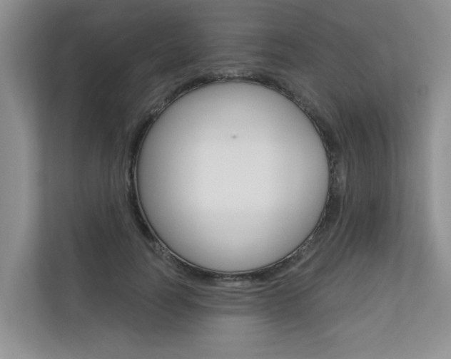 X0000110700746200906121035