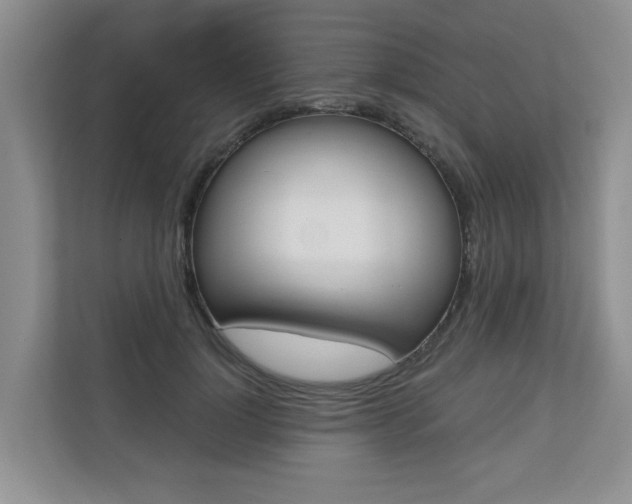 X0000110700748200906121035