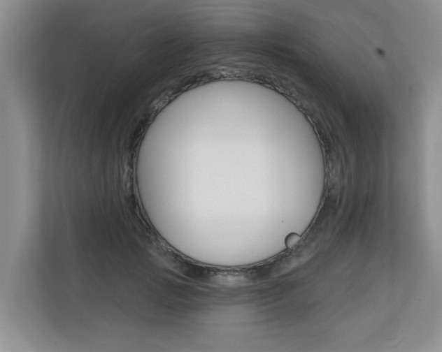 X0000110700749200906121035