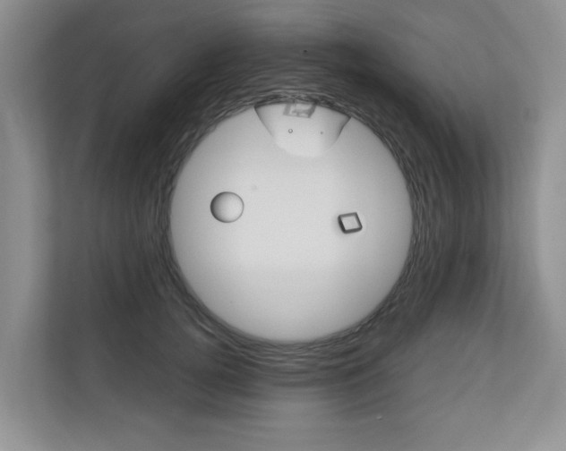 X0000110700752200906121035