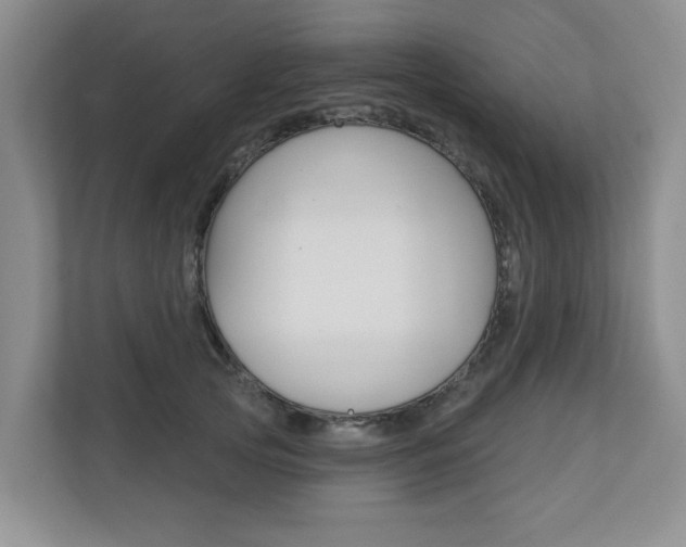 X0000110700753200906121035