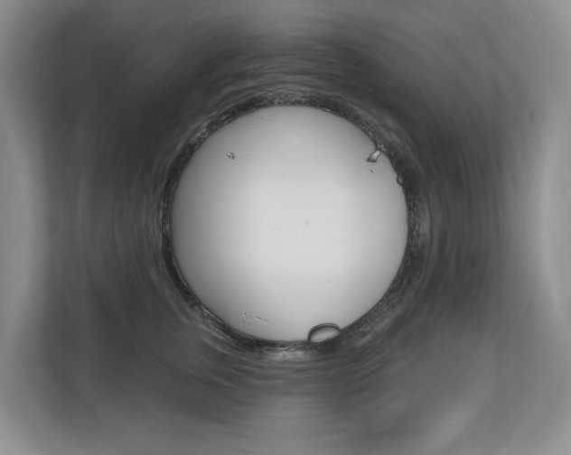 X0000110700759200906121036