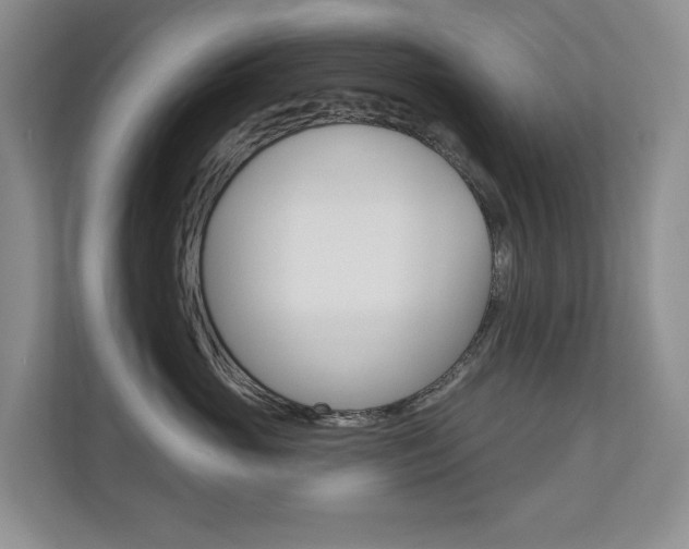 X0000110700765200906121036