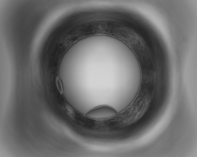 X0000110700766200906121036