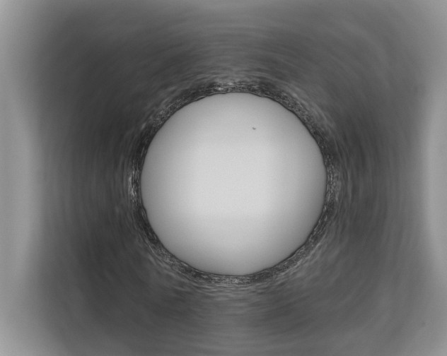 X0000110700770200906121035