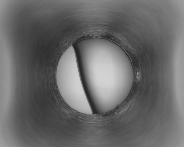 X0000110700771200906121035