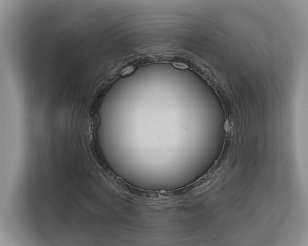 X0000110700772200906121035