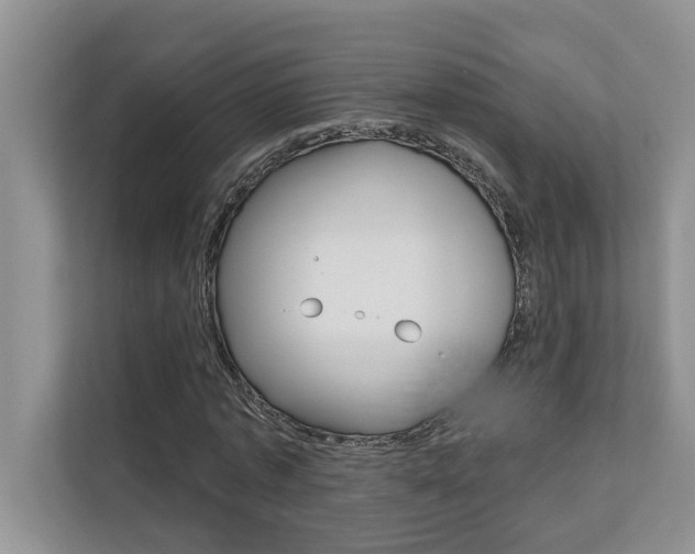 X0000110700773200906121035