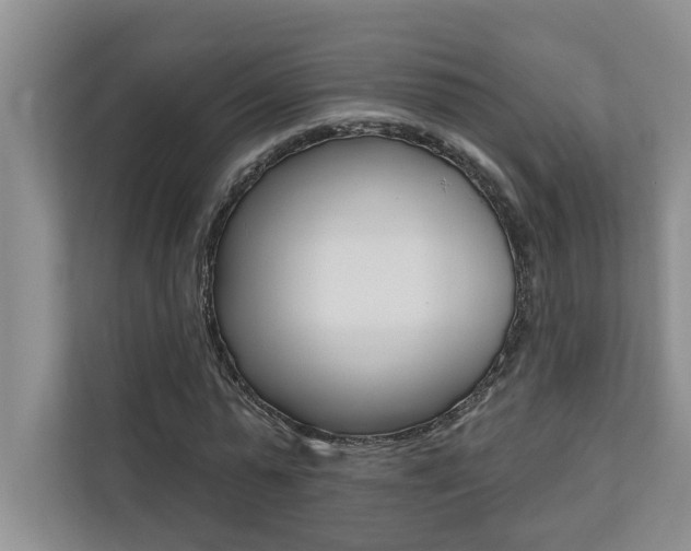X0000110700775200906121035