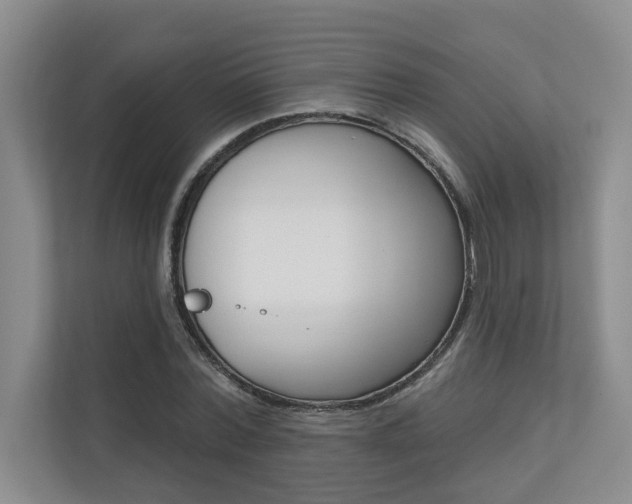 X0000110700780200906121035
