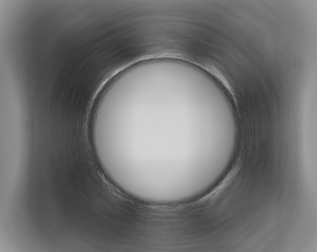 X0000110700781200906121035